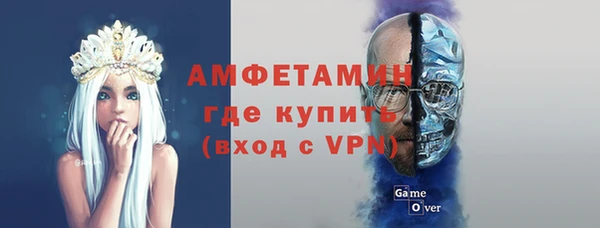 шишки Абаза