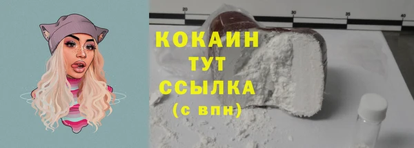 шишки Абаза