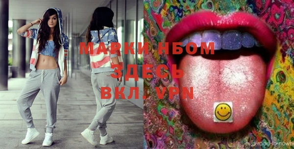 шишки Абаза
