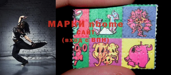 шишки Абаза