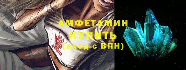 шишки Абаза