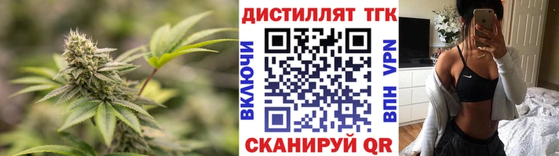 где можно купить   Карачев  ТГК концентрат 