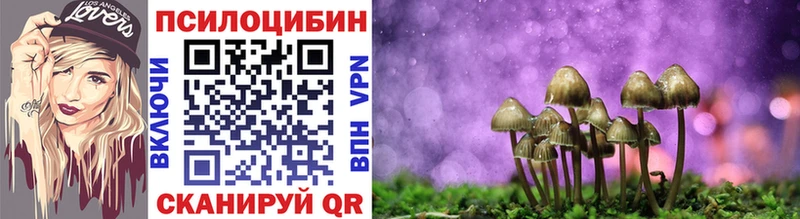 Псилоцибиновые грибы Magic Shrooms  Карачев 