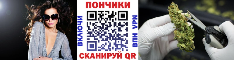 Канабис конопля Карачев